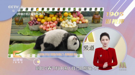伦理在线播放